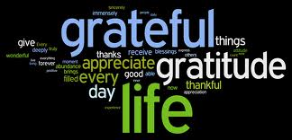 Develop an Attitude of Gratitude