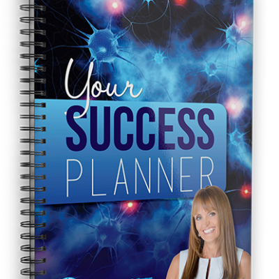 Success Planner 2017